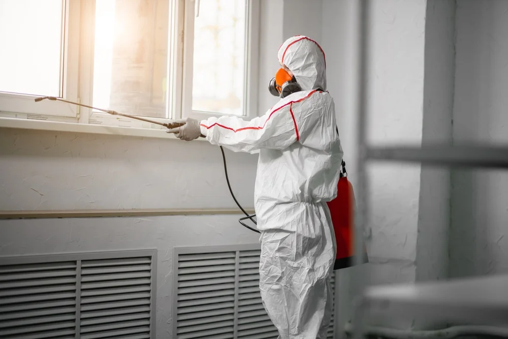 Professional mold remediation services in Durant, FL